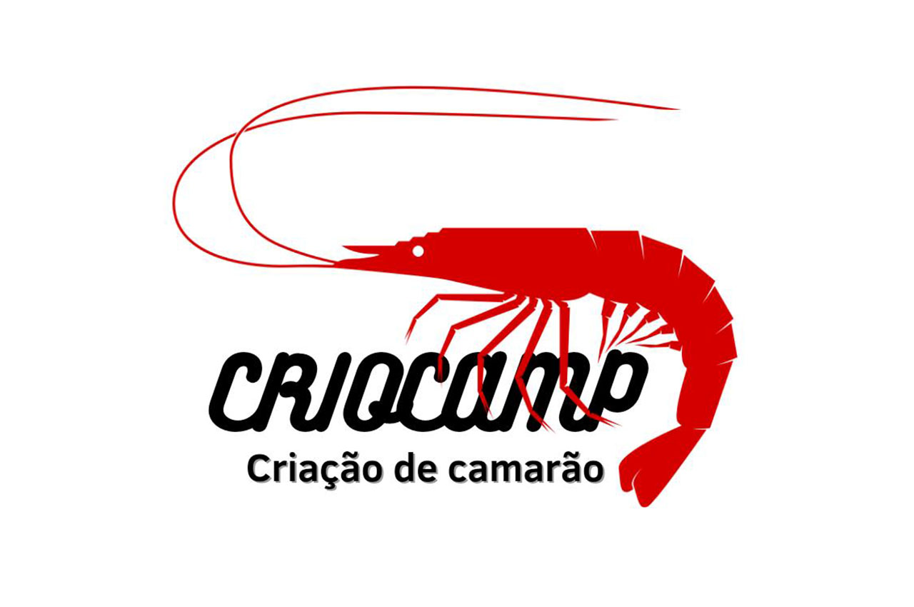 Projeto 3